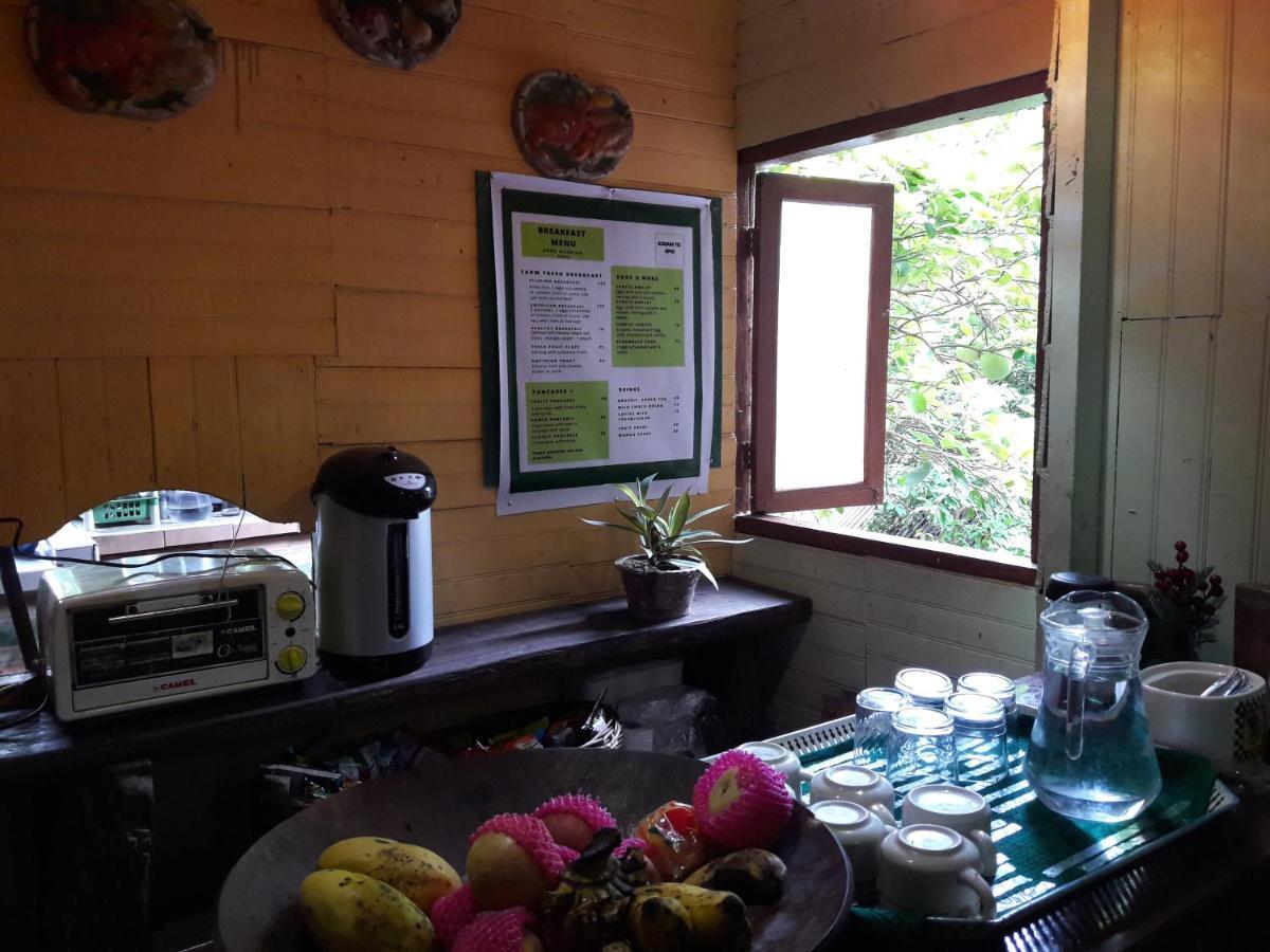 Oasis Balili Heritage Lodge Tagbilaran-stad Buitenkant foto